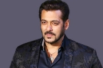 salman khan wiki, salman khan marriage, audience s love respect matter more than stardom salman khan, Amrita arora