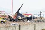 South Korea Plane Crash cause, South Korea Plane Crash cause, pilot made mayday call and mentioned bird strike in south korea plane crash, U s outlets