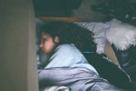 night owl, how to sleep fast, are you a night owl this one trick can help advance sleep time by 2 hours, Sleeping tips